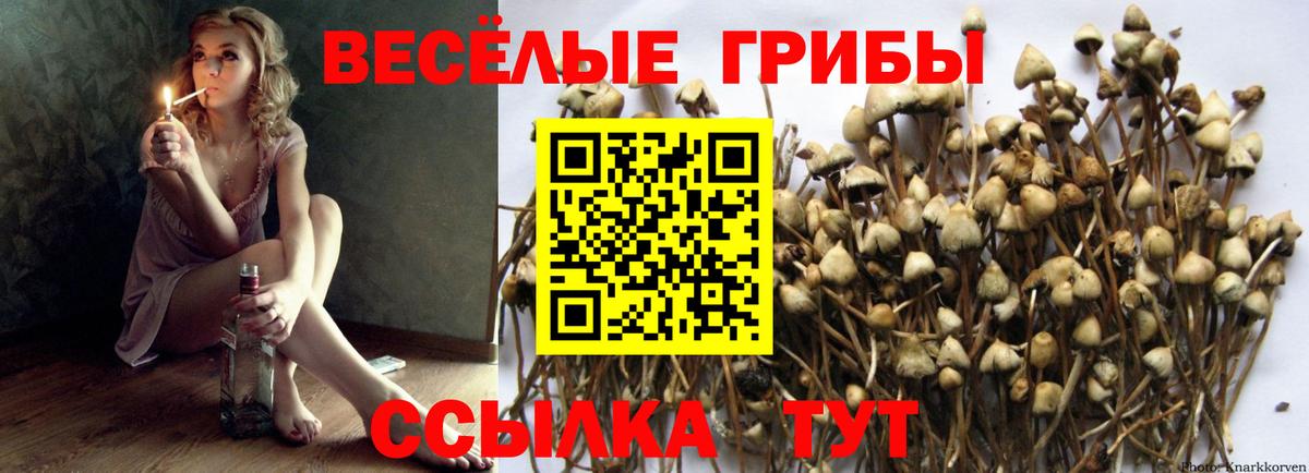 Псилоцибиновые грибы GOLDEN TEACHER Муравленко